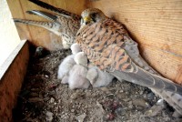 /album/fotogalerie/je-nam-zima-jpg/